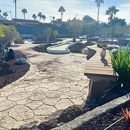 Bungalow En El Sur De Gran Canaria Las Palmas de Gran Canaria Eksteriør bilde