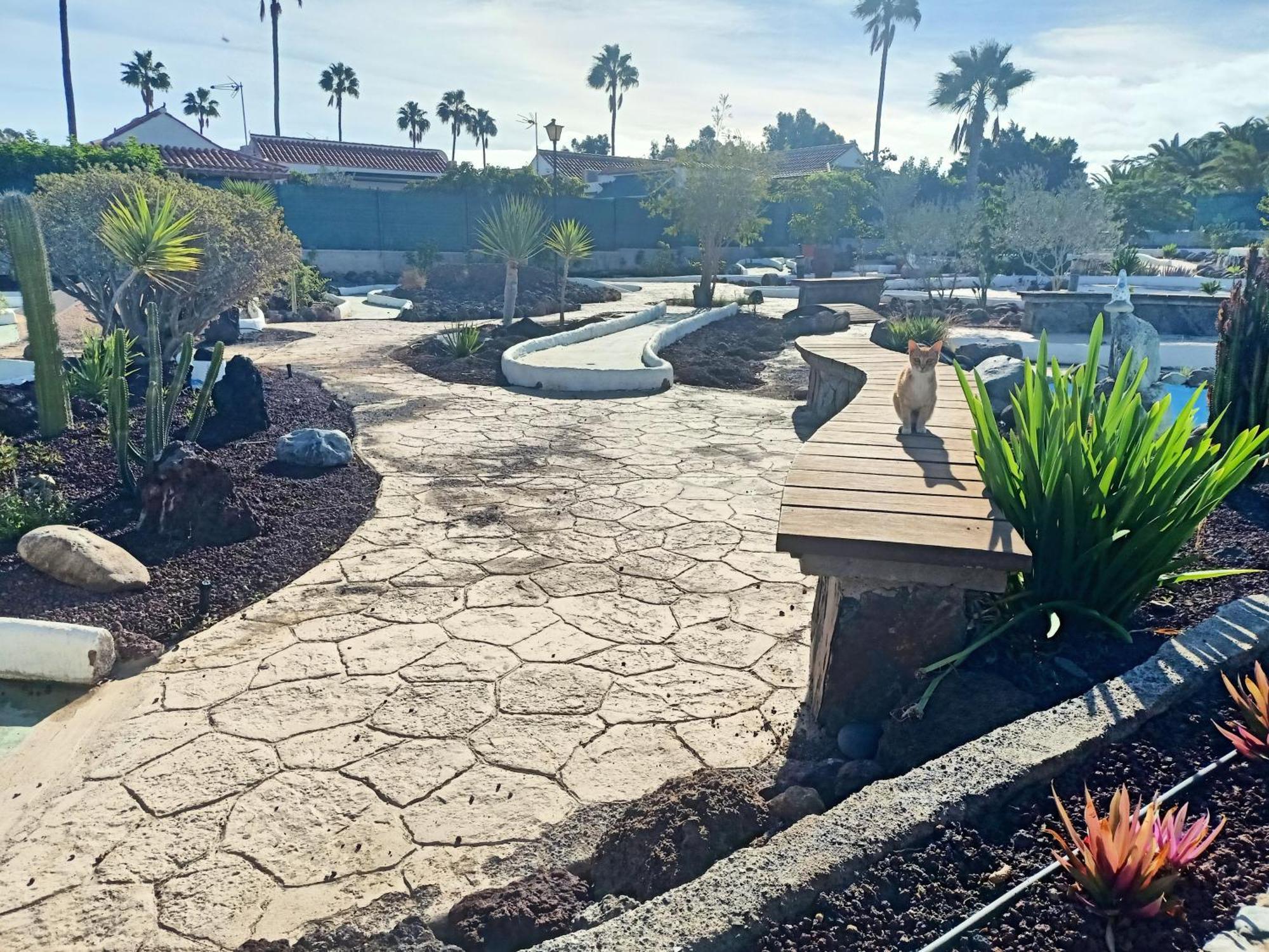 Bungalow En El Sur De Gran Canaria Las Palmas de Gran Canaria Eksteriør bilde